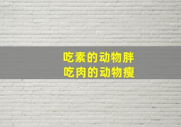 吃素的动物胖 吃肉的动物瘦